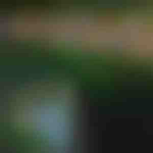 Solarne svetiljke u obliku leptira za spoljašnju upotrebu | FLUTIX