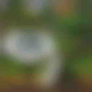 Solarne podne lampe za spoljašnju upotrebu (3 kom) | LUMIGARD