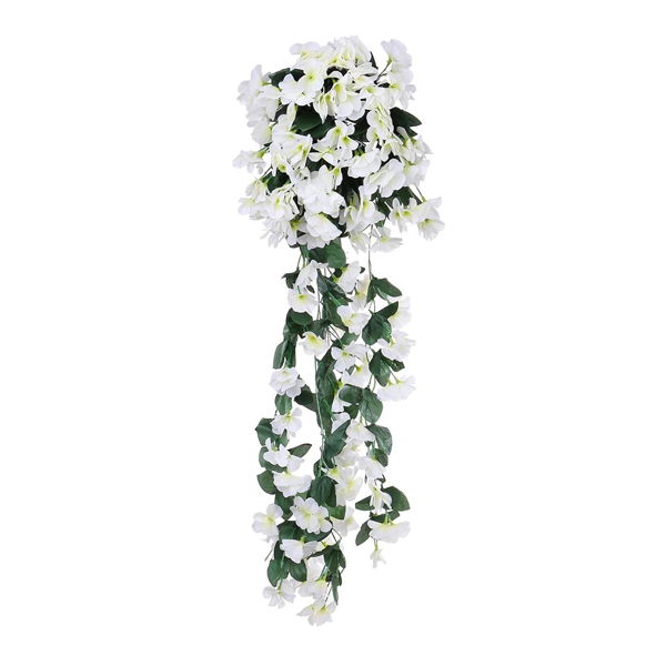 HANGROSE