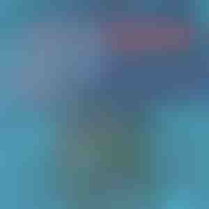 Šortsevi za kupanje koji se brzo suše | TOGGIES