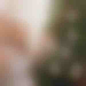 Božićni ukrasi za novac (4kom) | WEALTHMAS