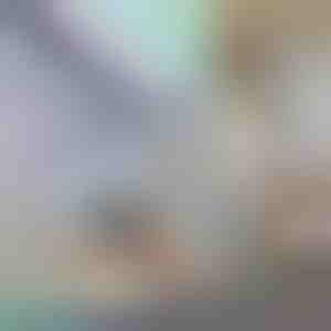 Dekorativna i zaštitna folija za prozore | PRISMWRAP