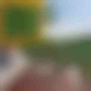 Panel za privatnost sa veštačkim lišćem | LEAFPANEL