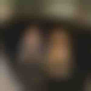 Nepromočiva navlaka za zadnje sedište automobila za pse | CARIPET